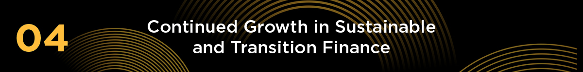 Header: 04. Continued Growth in Sustainable and Transition Finance 