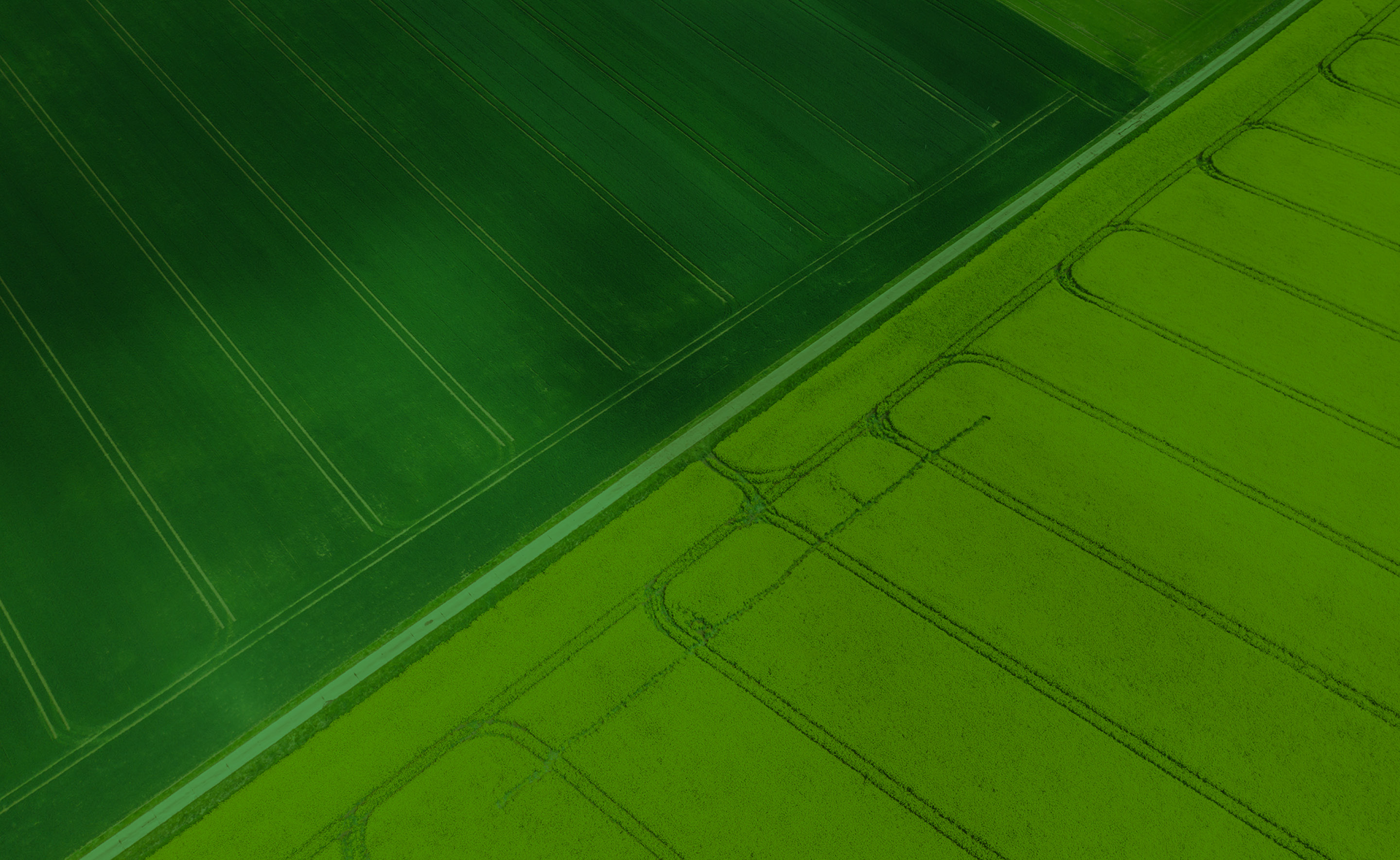 Energy RINS Campaign