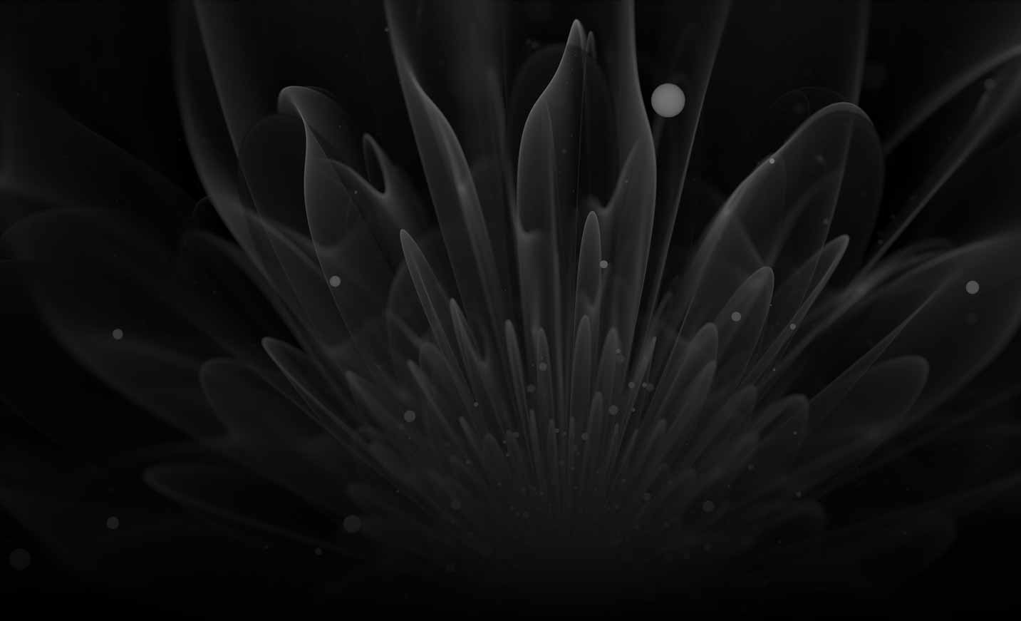 Capco Consulting: Strategy