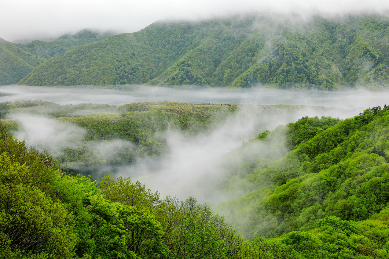 Capco: Environmental, social and governance (ESG)